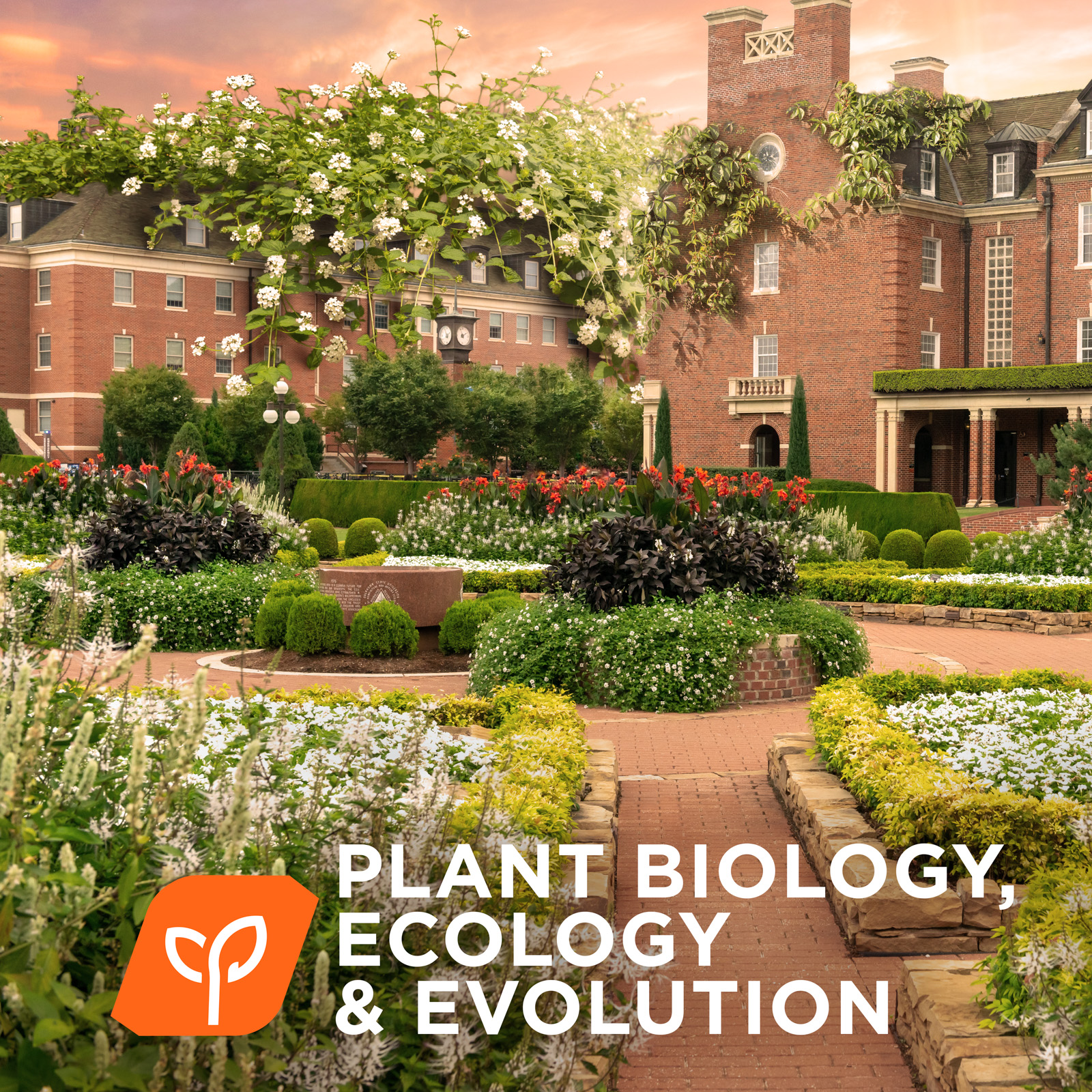 Plant Biology, Ecology & Evolution